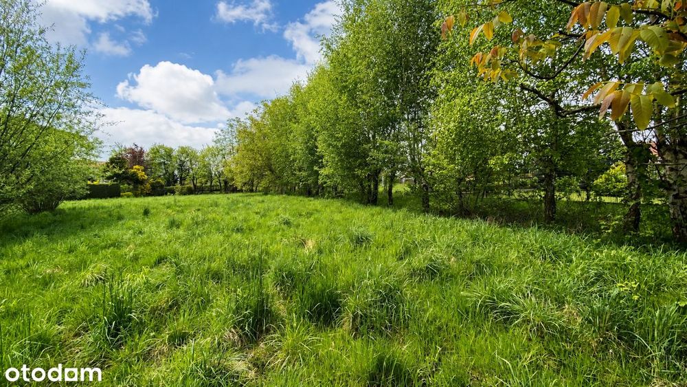 Działka budowlana Lipnik 1215 m² SPRZEDAM - Widok 2