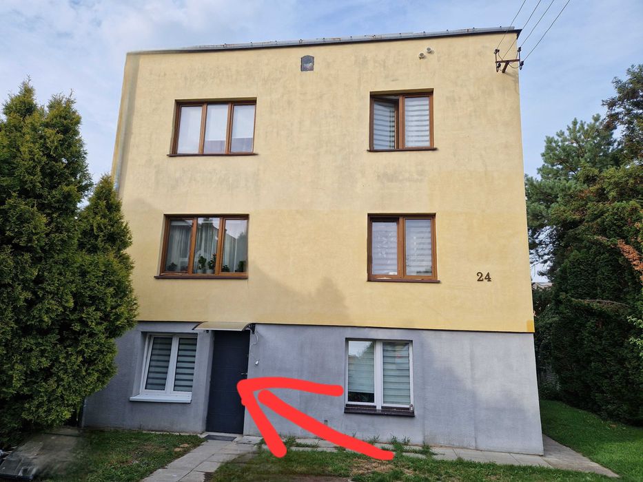 Zdjęcie 7