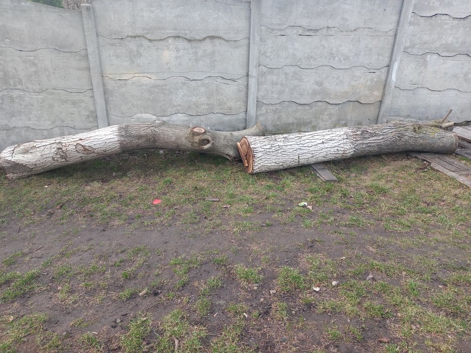 Продам горіх.негнилий