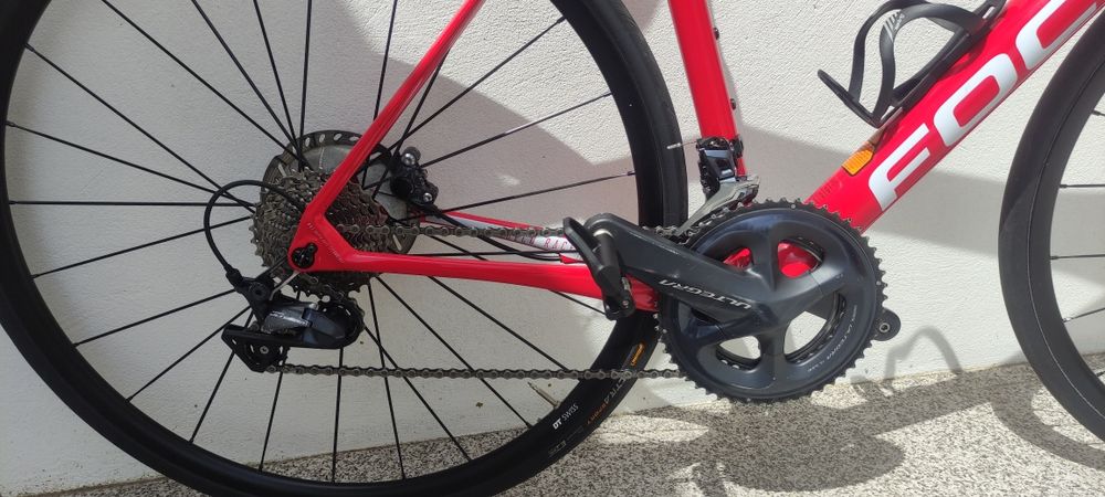 Focus izalco Race carbono