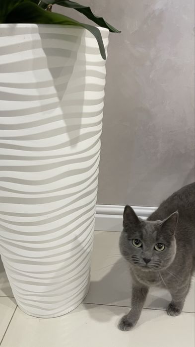 Вазон зі штучною орхідеєю