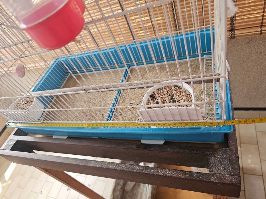 4 Agapórnis + gaiola