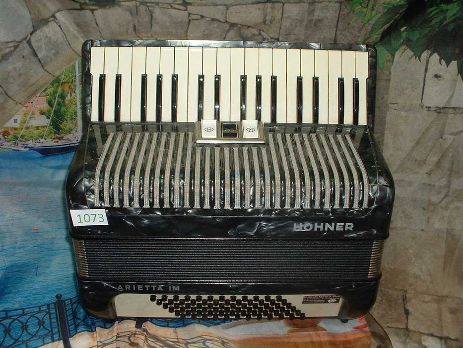 Promoção de Acordeões de concertinas