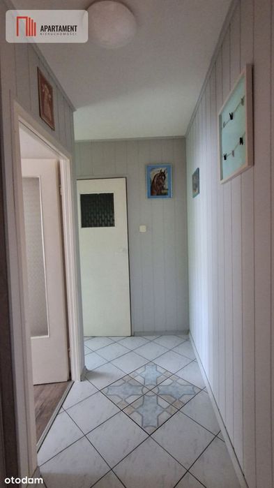 Zdjęcie 7