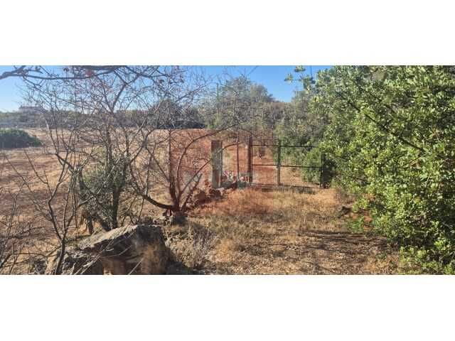 Terreno rustico na Falfosa