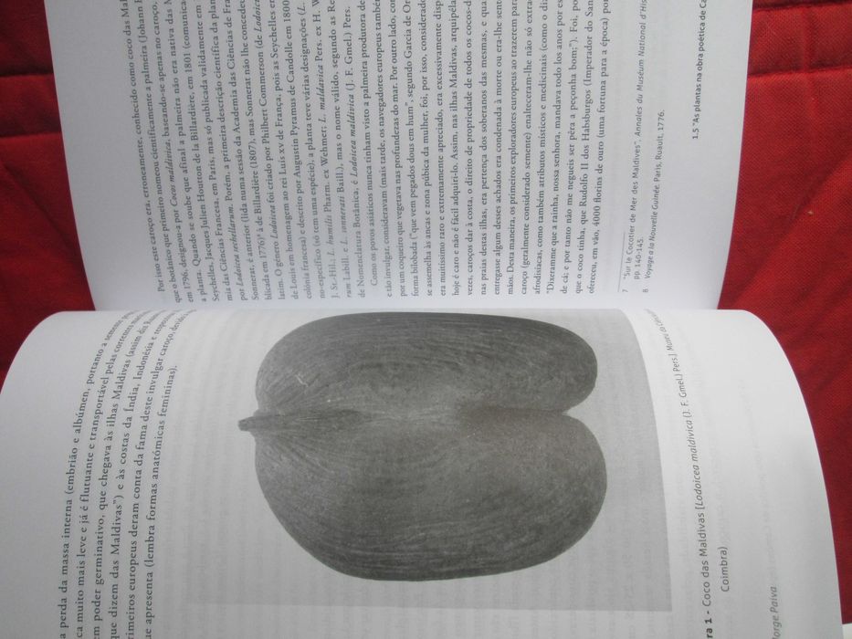 Humanismo e Ciência: Antiguidade e Renascimento - Amato Lusitano