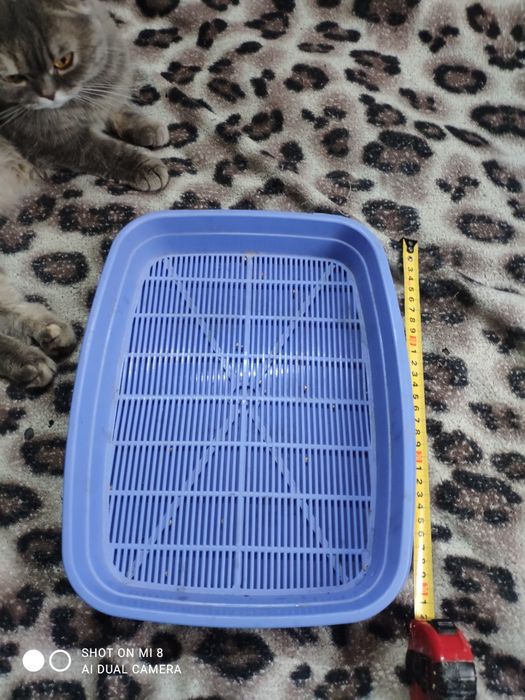 Лоток для котят для опорожнения