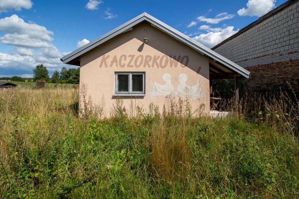 Działka 4100 m² w Bokinach | zabudowa mieszkaniowa | otulina Narwiańskiego Parku Narodowego - Widok 5