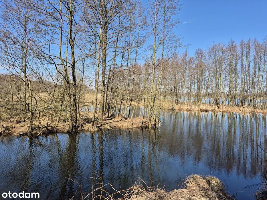 Dom Nad Jeziorem - Pomost Na Wprost Działki. Pierwsza Linia Brzegowa.