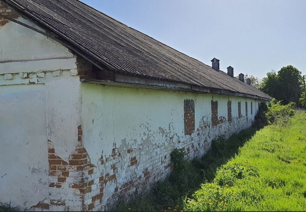 Продам свинарники