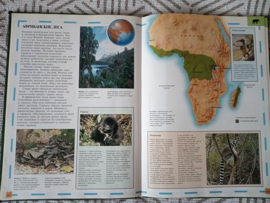 Мир животных Иллюстрированный атлас для детей Дэвид Ламберт книга