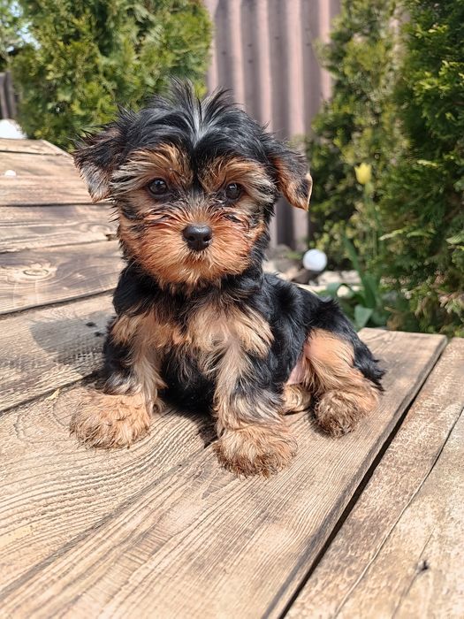 Кто в поиске прекрасного ?