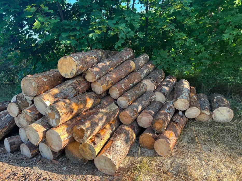 Drewno do kominka i pieca Suche mokre wiele rodzajów