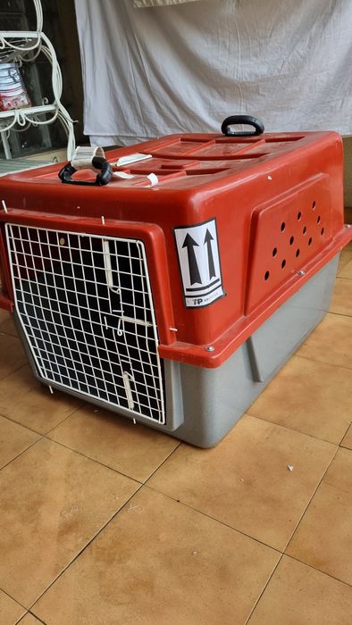Caixa transportes pet