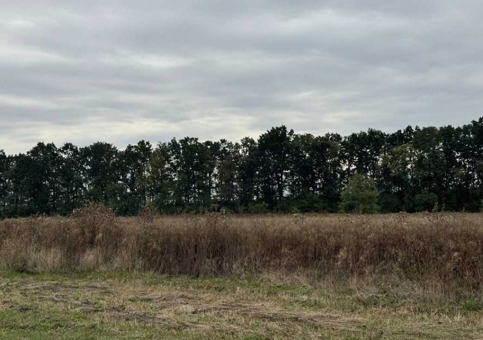 Продаж земельної ділянки с/г призначення, 8 соток, сю Бохоники