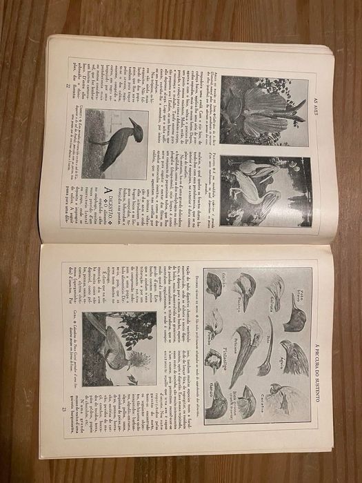As Aves - Enciclopédia pela Imagem (portes grátis)