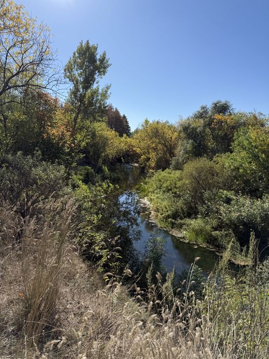 Продаж турбази 4,5 га у Дніпровському р-ні с Могилів!