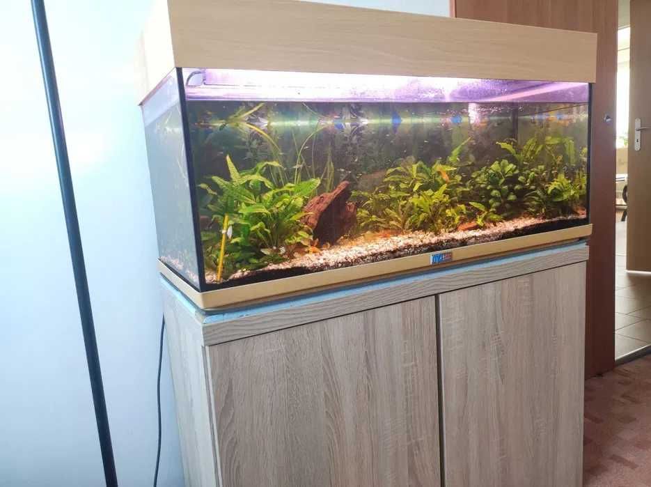akwarium eheim 200l z szafką