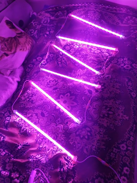 Фітолампа для рослин повний спектр Фитолампа