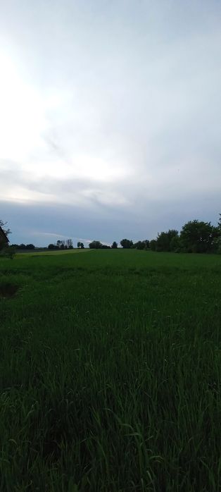 Будинок з ділянкою 60 соток