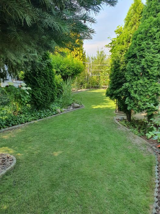 Sprzedam działkę ROD KONINKO