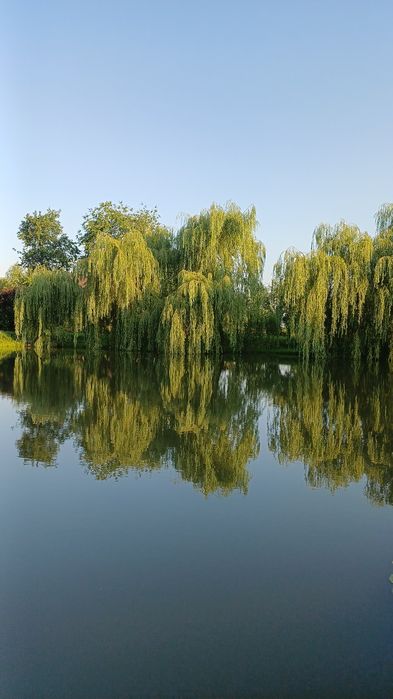 Продаж ділянки 6 соток у Львові біля Терміналу