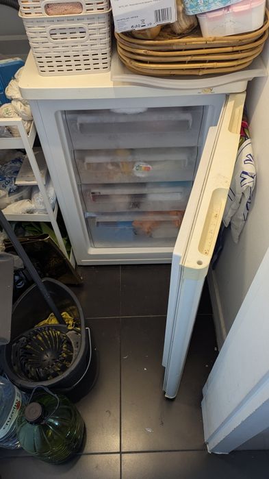 Arca Congeladora Princess