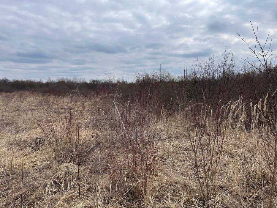 Продаж земельної ділянки с.Діброви, під забудову - View 3