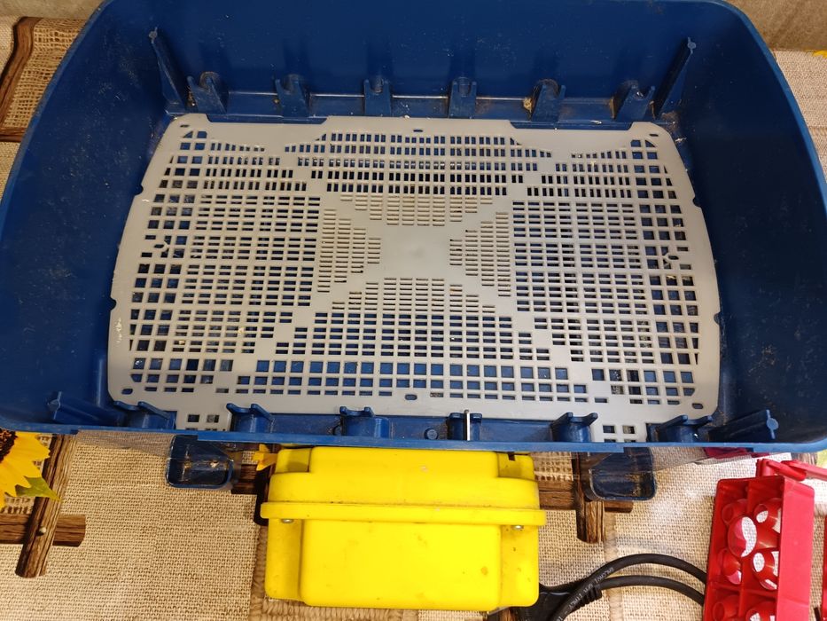 Chocadeira de 24 ovos automática
