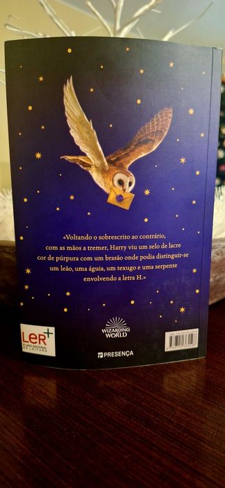 Livro do 'Harry Potter e a Pedra Filosofal 'Estado Impecável.