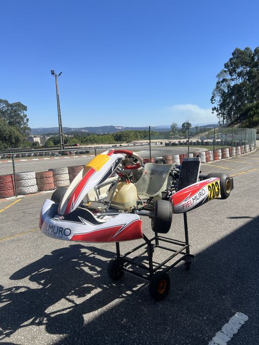 Tony kart IAME X30