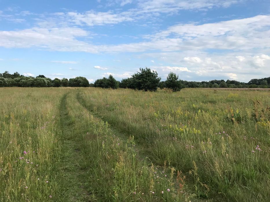 Klimatyczny domek nad Bugiem