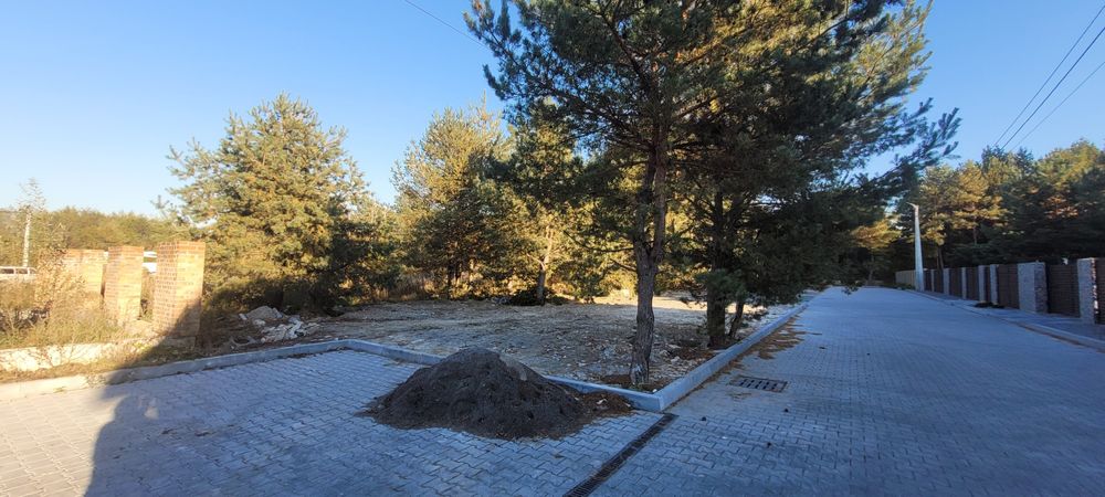 Ділянка 16 сот ОК " ПІДЛІССЯ " Рясне-Руське