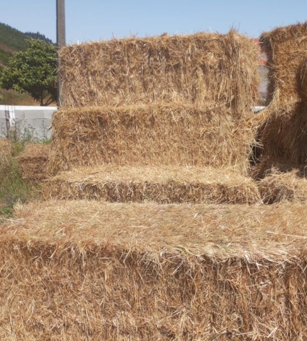 Fardos Palha Grandes