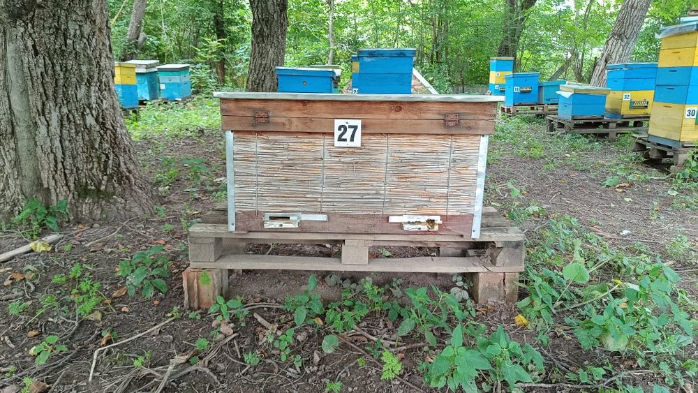 Еко вулик з очерету