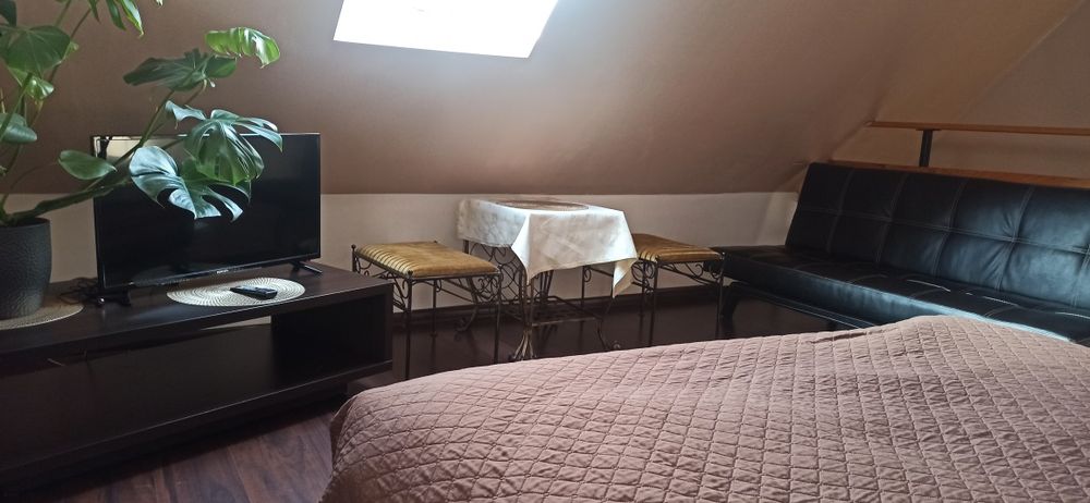 Zakopane centrum apartament domek Magha