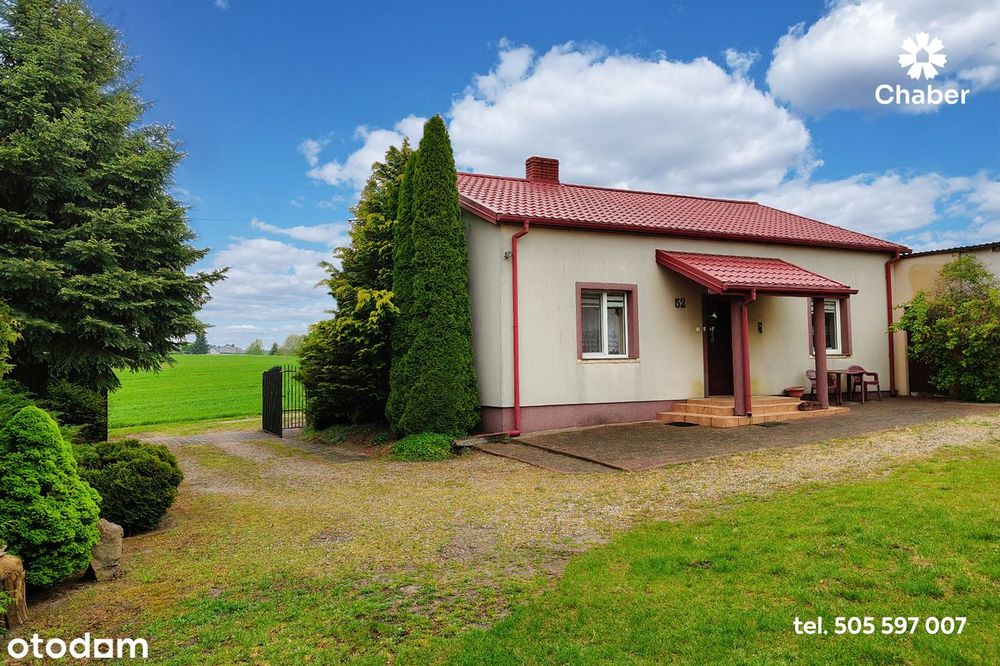 Siedlisko w sąsiedztwie lasów 17 km od Włocławka, dom 100m2