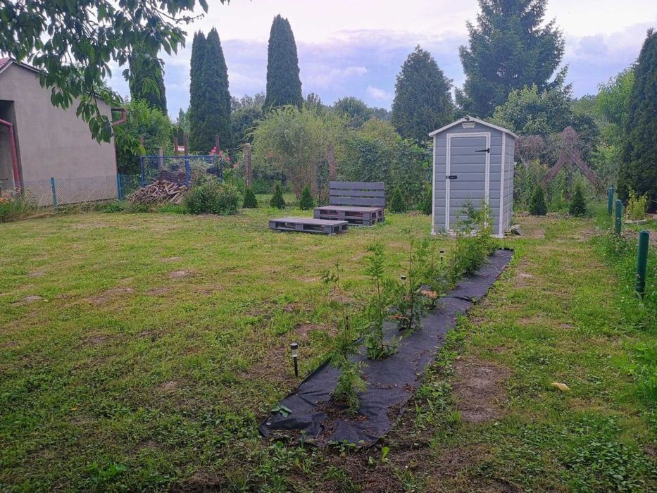 Sprzedam działkę ROD