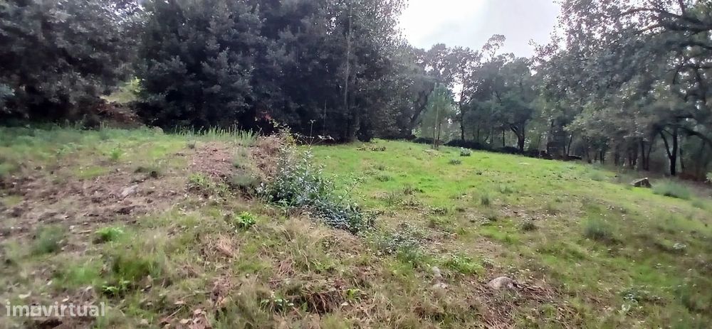 Terreno Rustico para Venda - Carvalhal - Barcelos — Carvalhal, Braga