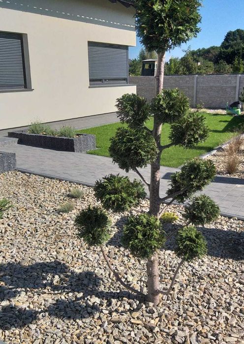 Kora Kamienna Gnejs 11-32 mm