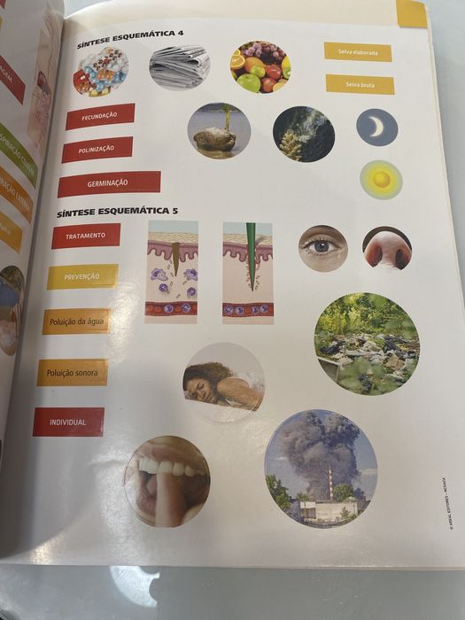 Caderno de atividades Ciências Naturais- CSL6°ano