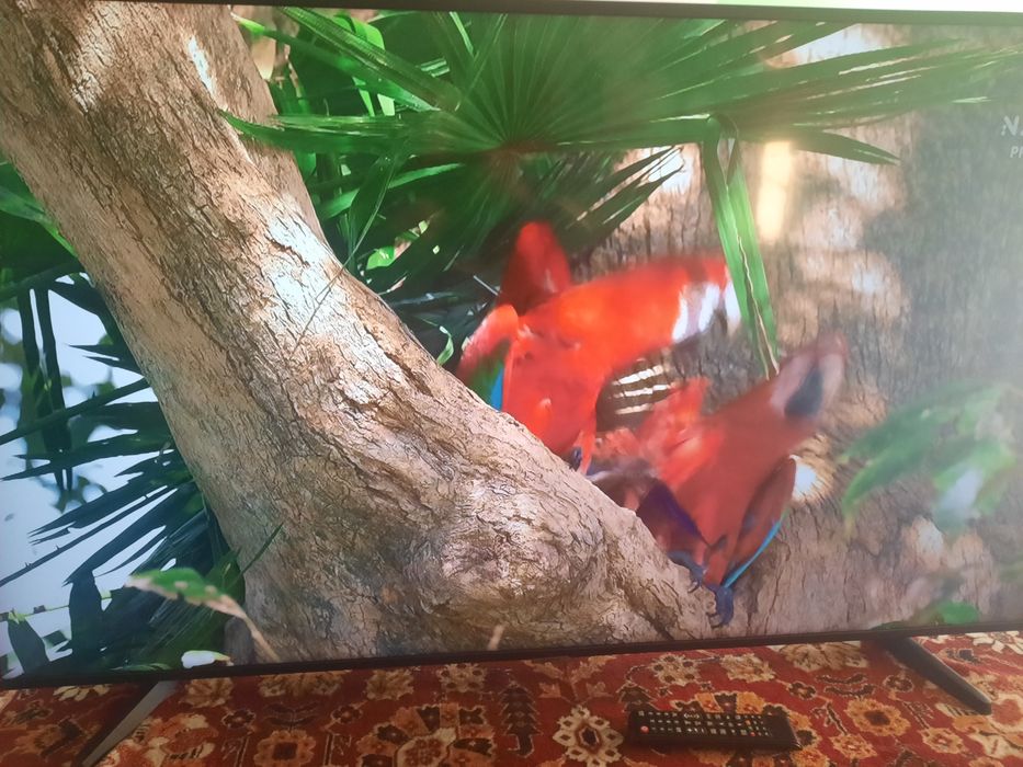 Telewizor Samsung 55'smart hefc