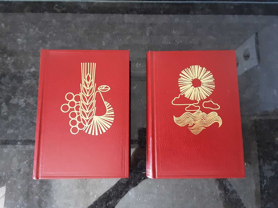 Livros "A Saúde pelos Alimentos"+ "A Saúde pelos Tratamentos Naturais"