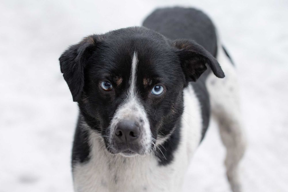 Ksawerio: energiczny, otwarty, entuzjastyczny