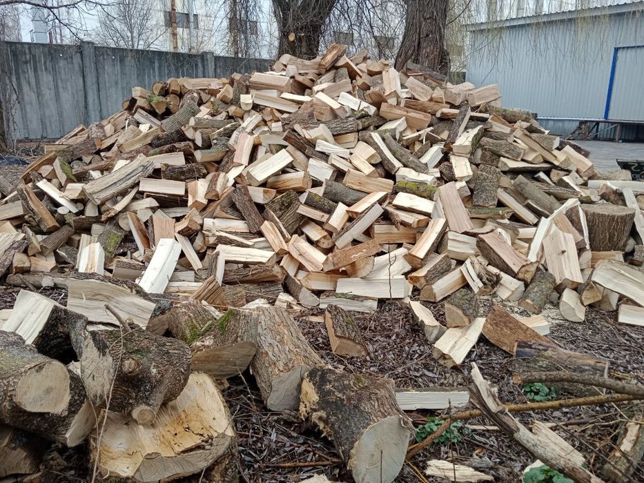 Дрова твердих порід