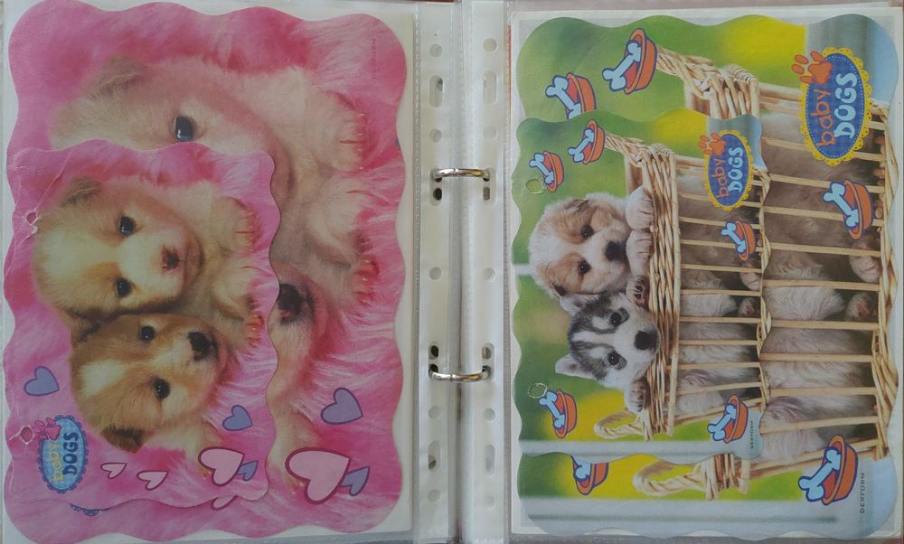 Karteczki do segregatora Zwierzęta