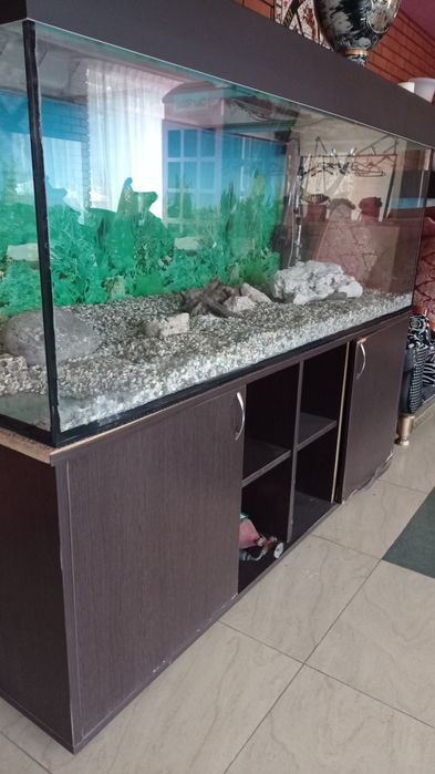 Продам акваріум ний набір