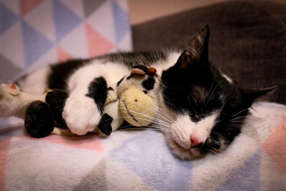 Czy ktoś mnie pokocha?