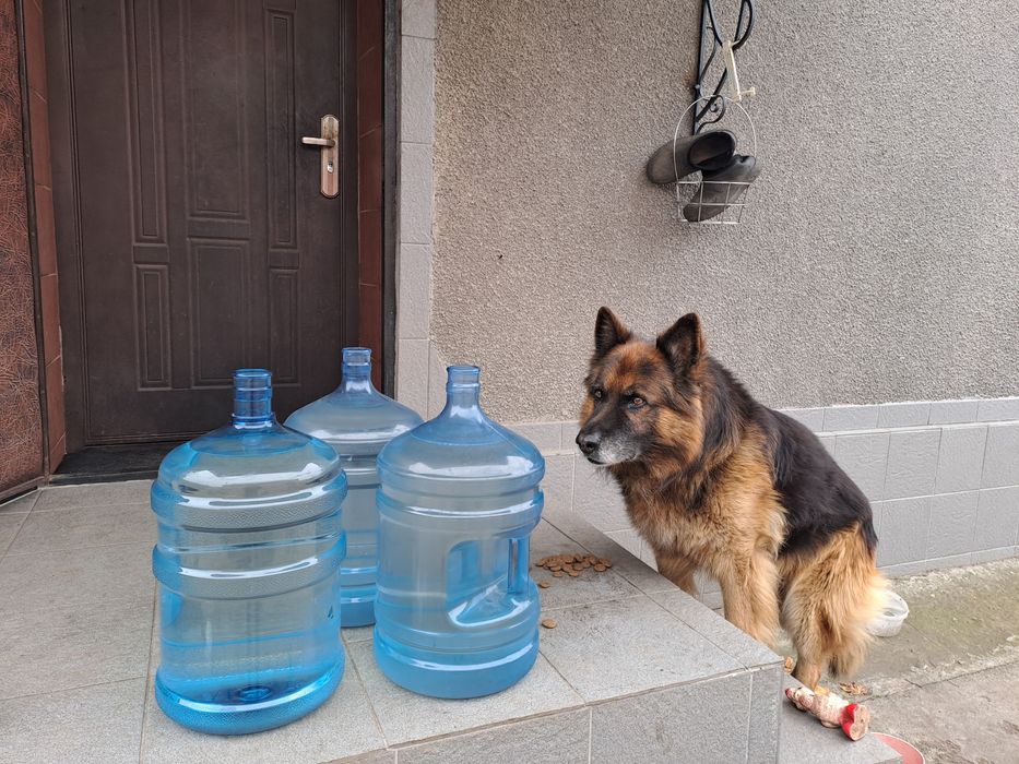 Бутля двадцать литров.