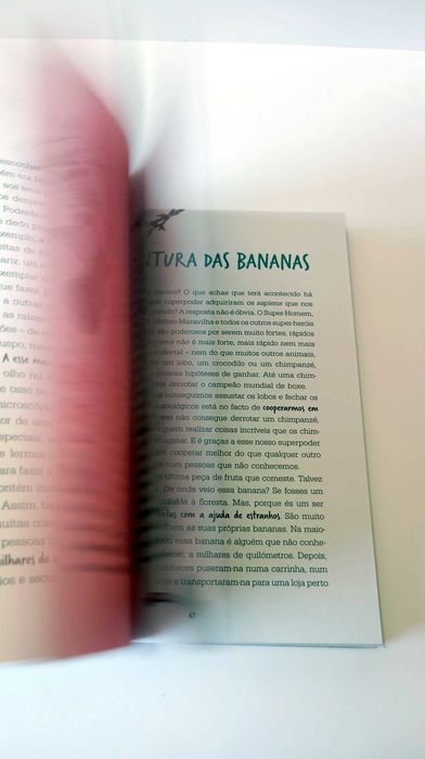 Indomáveis - Como Tomámos conta do Mundo